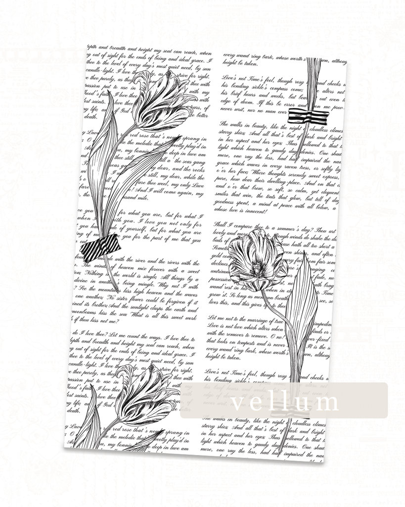Tulips & Text Vellum
