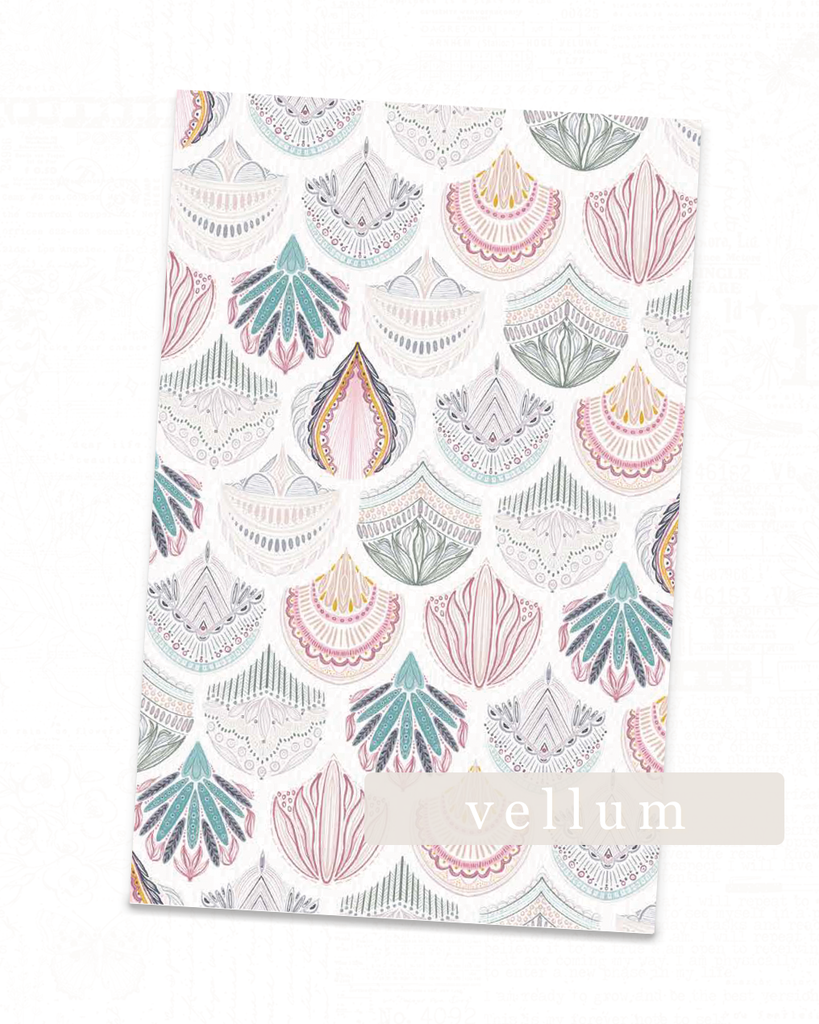 Seven Collection  | Jewel Scallops Vellum
