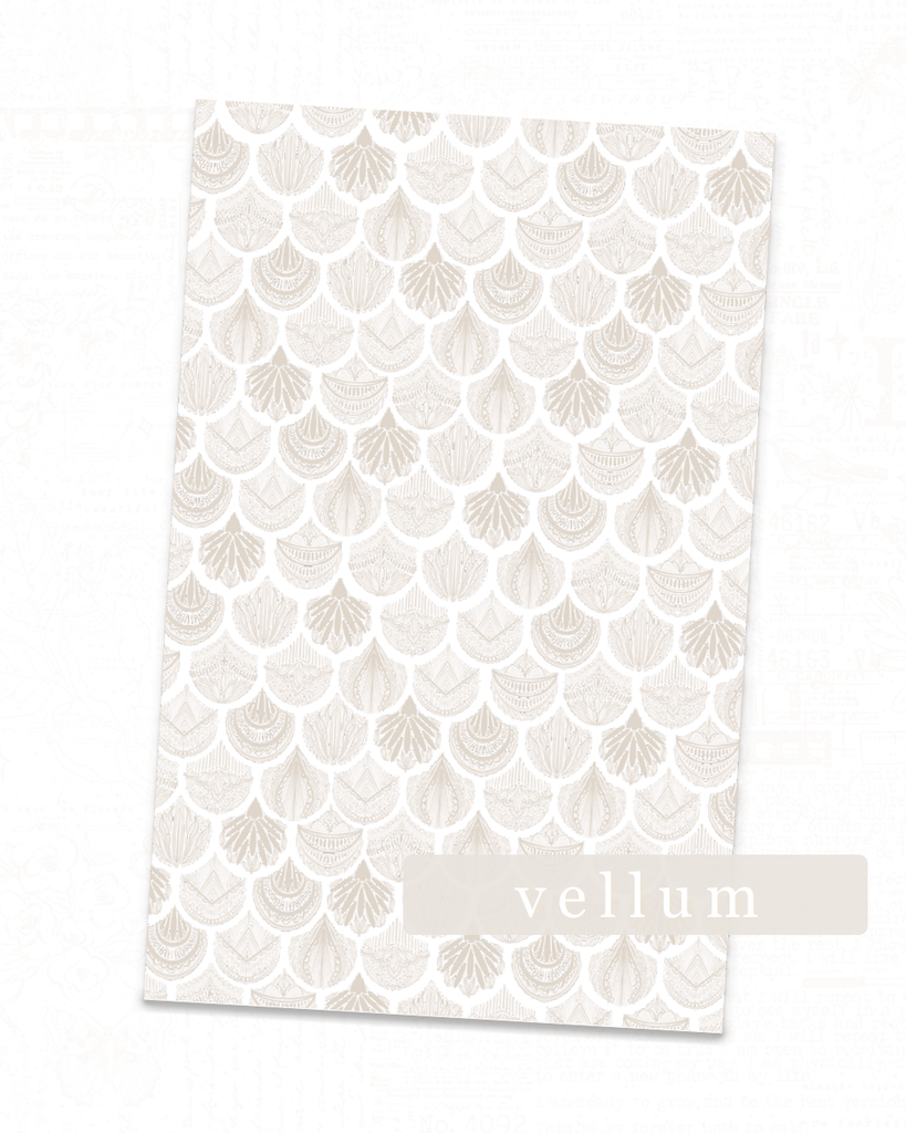Seven Collection  | Neutral Scallops Vellum
