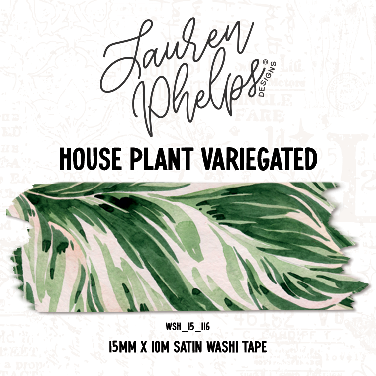 House Plant Variegated 15mm Washi