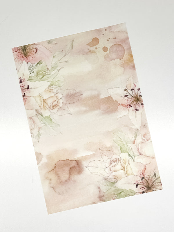 Lily Collection | Frame