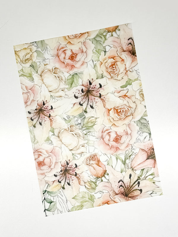 Lily Collection | Vellum Peach Rose