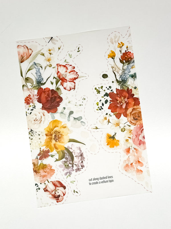 Flutter Collection | Vellum TipIn's