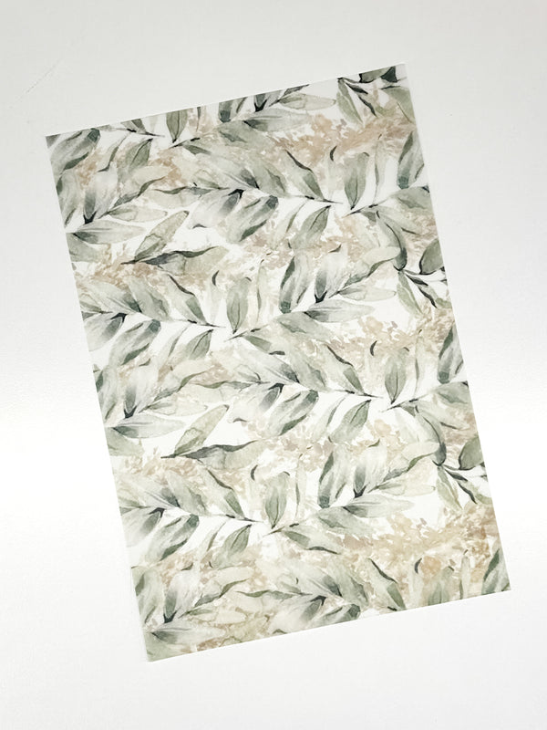 Perennial Collection | Vellum Foliage