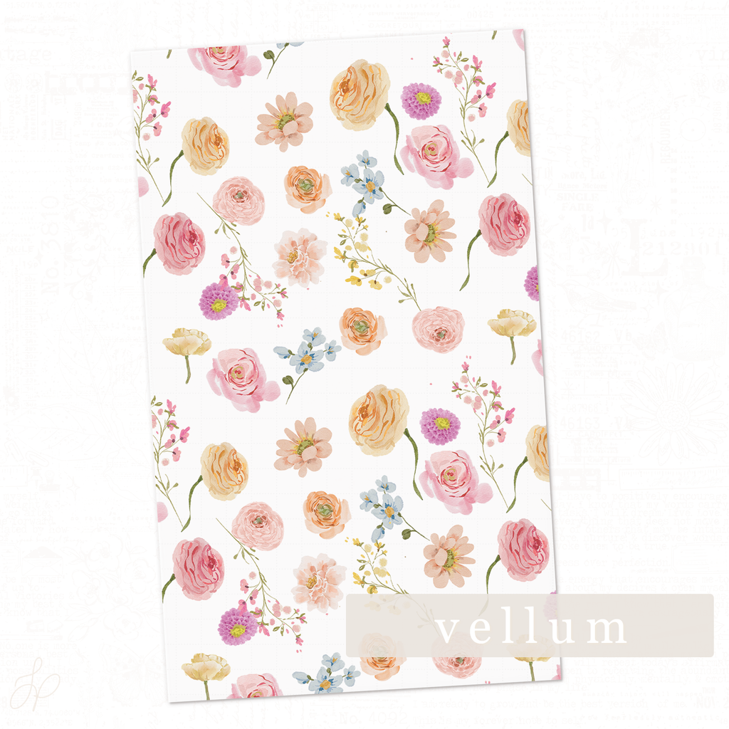 Florian Collection | Vellum