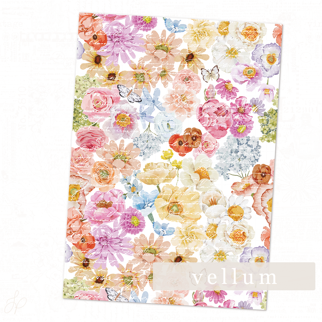 Florian Collection | Vellum