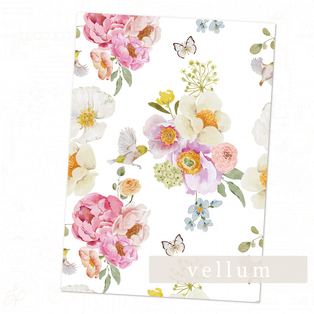 Florian Collection | Vellum