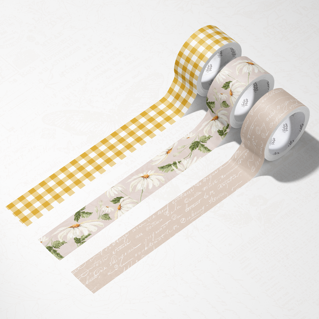 Neutral Daisy Washi Bundle
